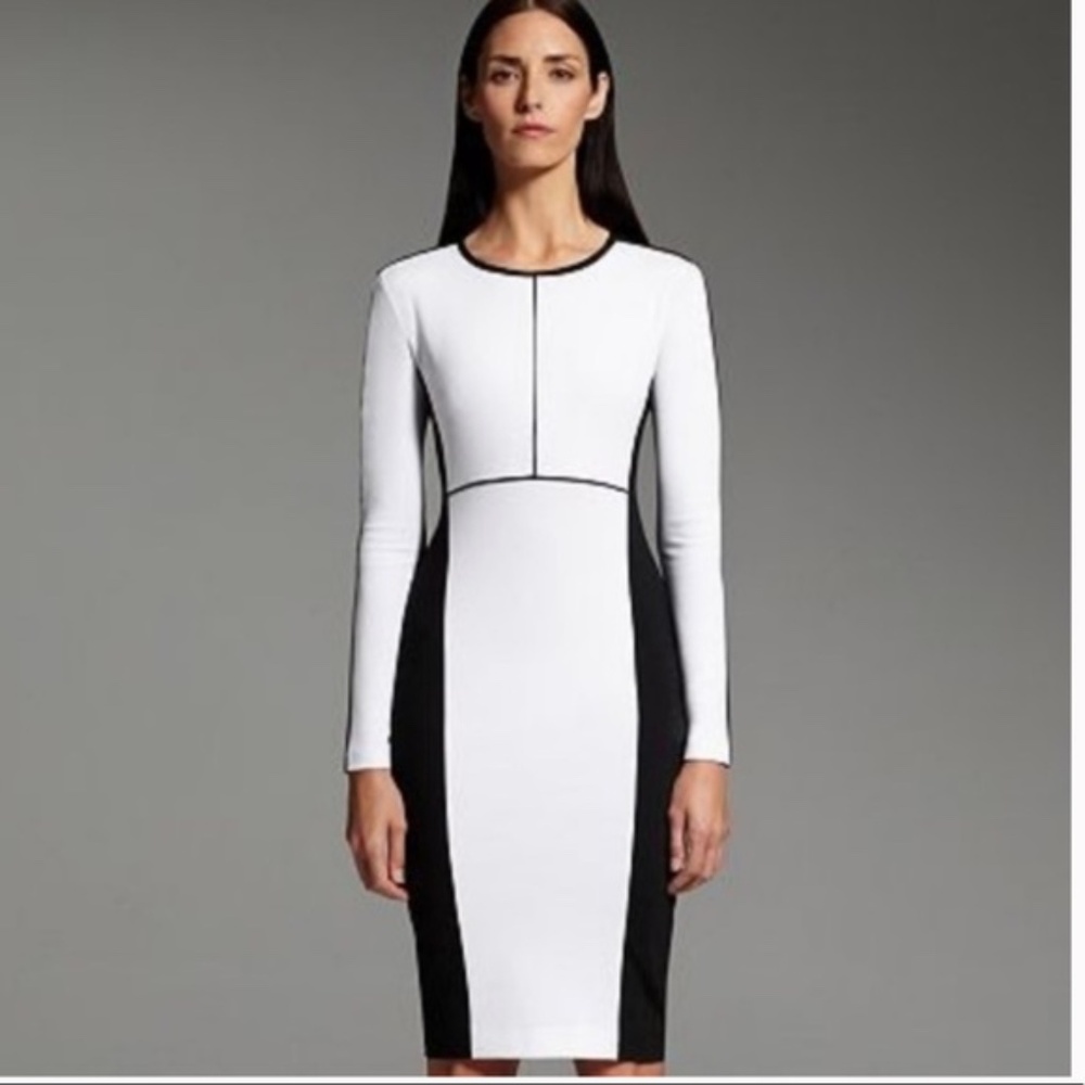 NARCISO RODRIGUEZ Designation Colorbrock Dress XS